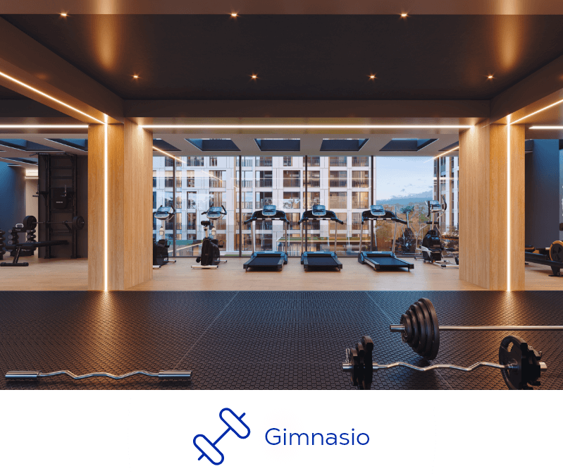 GIMNASIO